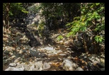 Thassos - Maries -04-09-2018 - Bogdan Balaban